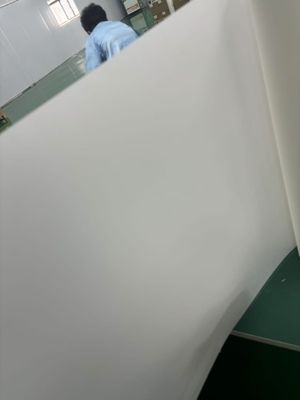 30/60cm Cold Peel /  Hot Peel Double Sides Matt DTF Printing PET Film Heat Transfer DTF PET Film Match With Hot Melt Powder